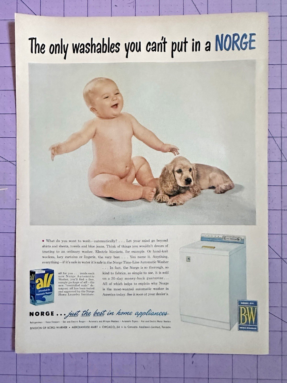 1954 Borg Warner Norge Washer All Detergent Naked Baby Cocker Spaniel Puppy Ad